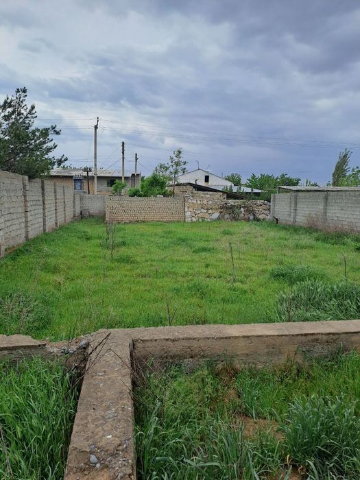 Дала ховли пулот даргом