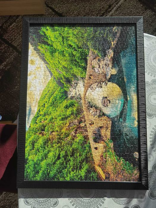 Пъзел , пъзели 1000 части с рамка