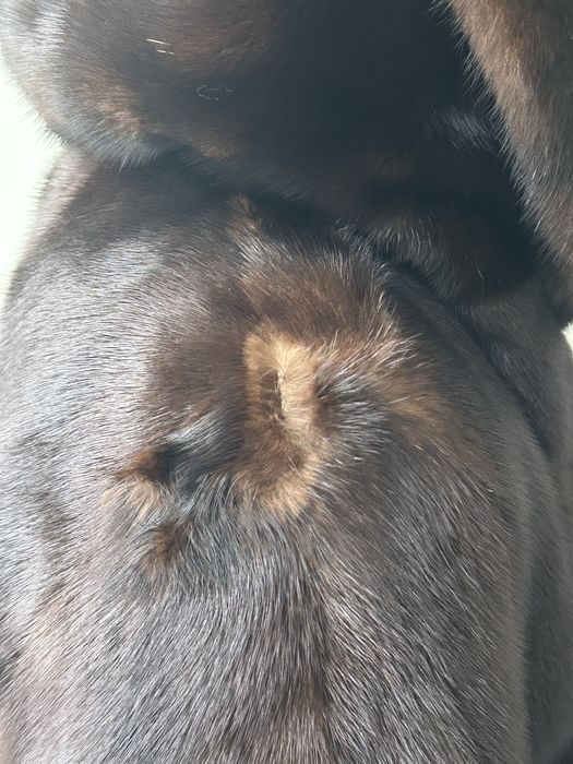 Шуба норка размер L