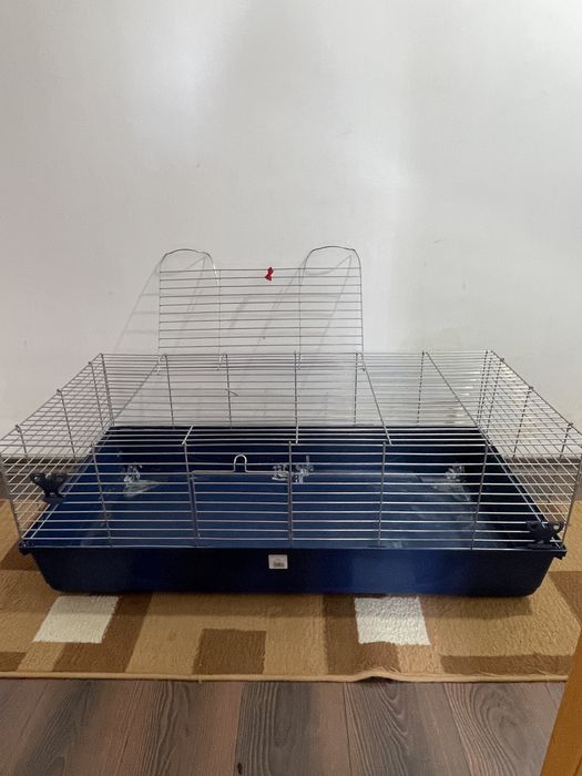 Vand 2 custi hamsteri/porcusori de guineea