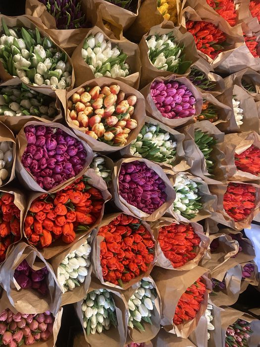 Свежие тюльпаны