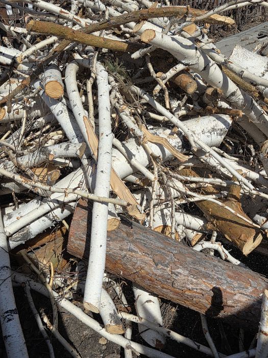 Дрова берёза рубленные