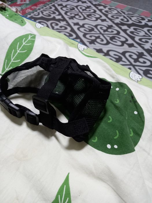 Намордник для мопса