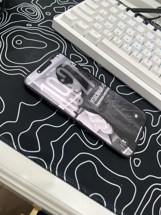 iphone 15 pro max (256gb)