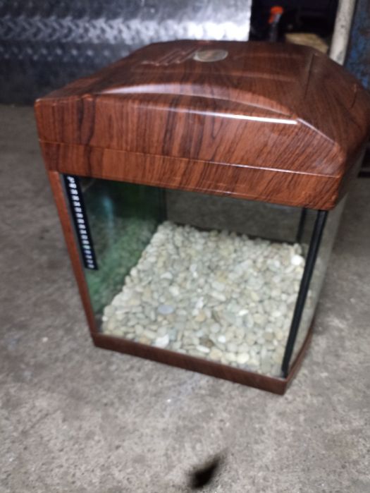 Аквариум с меченосцами