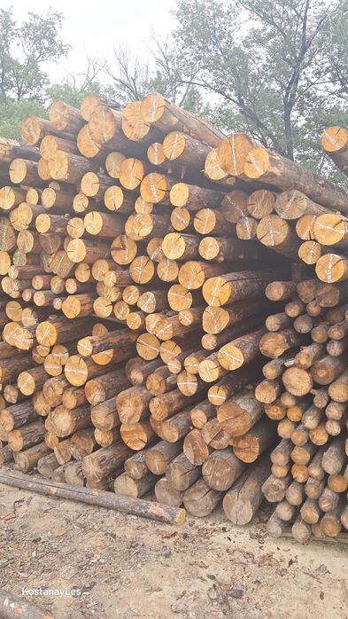 Кругляк, подтоварник,  рудстойка