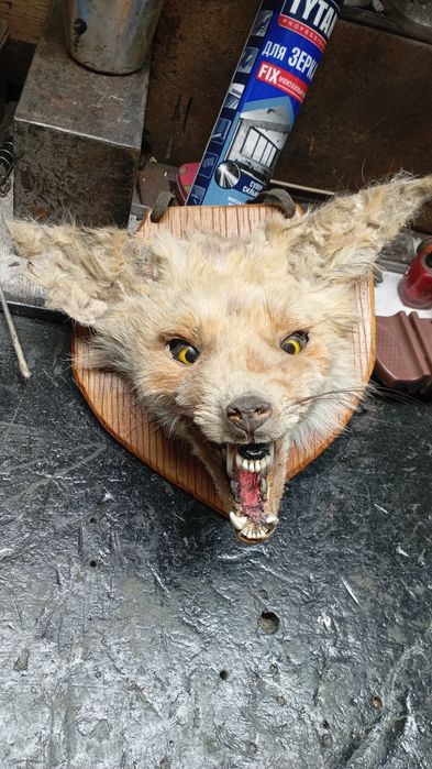 Чучило лис сувннир