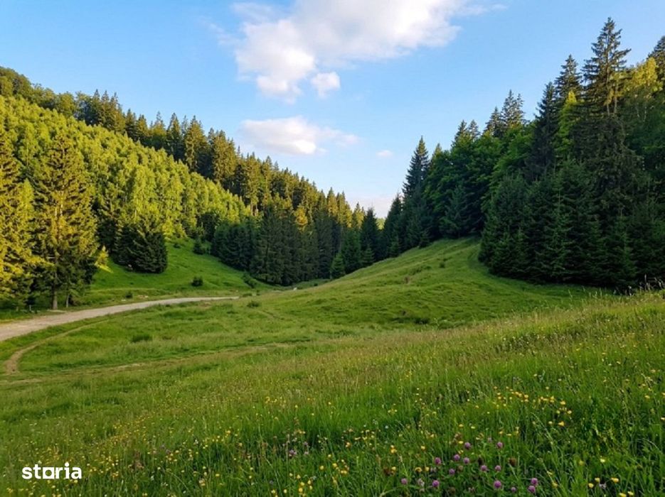 Poiana Brașov, Teren intravilan 2.763 mp , utilitati, Str. Stânii,