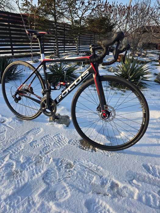 Focus Cayo Carbon / Cyclocross/Gravel/Semicursiera