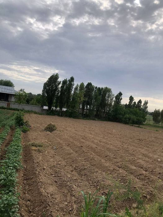 Srochno yer sotiladi 15 sotik xama dakument joyida