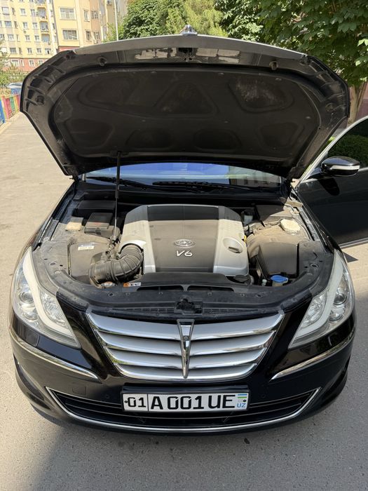 Genesis 3.8 Atmo Mator Luxury Korean Car