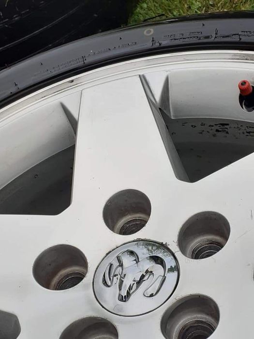 Roti de Dodge caliber