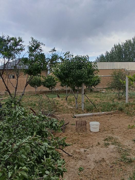 На продаже 16,5 сутук земля цена договорная