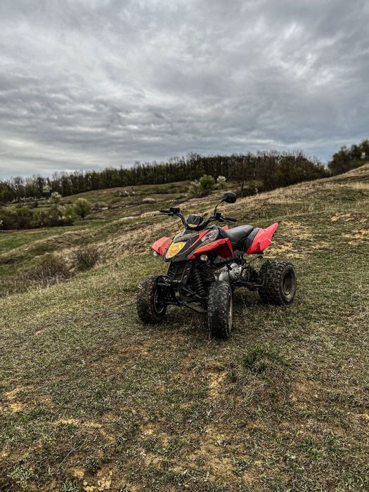 Atv Arctic Cat 300