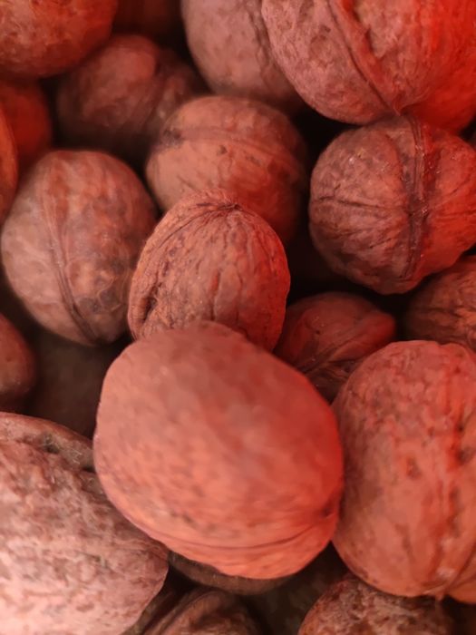 De vânzare nuci in coaja