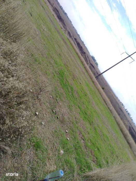 Teren intravilan zona Damila, 800 mp cu deschidere de 40m
