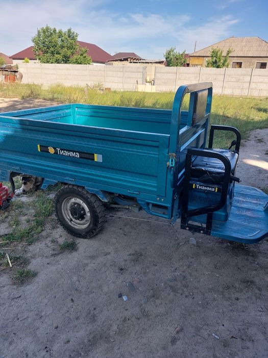 Электронный муравей тонник