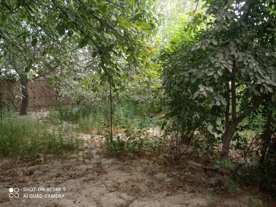 Продается 3 комнатный дом с большой земельной  площадью