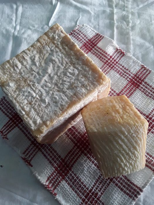 Lapte de capră de vânzare