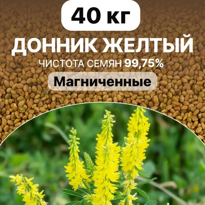 Семена донник доник магниченный