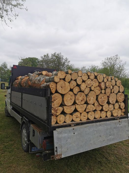 Lemne de fag pentru foc tăiate și despicate