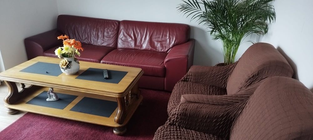 Revelion 2026- Vila Bordea