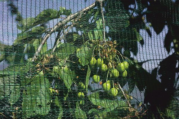 ANTIGRINDINA 4x50m= 440lei; 4x100m=825; OchiuriInnodate+MargineDublata