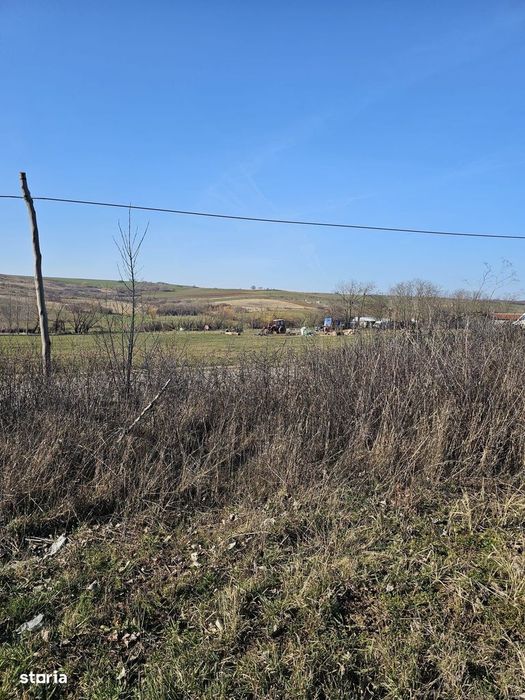 Teren intravilan Cetariu 1500 mp