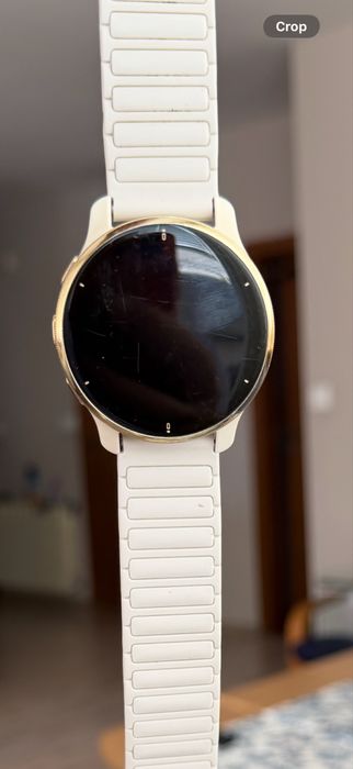 Garmin Venu 2 Plus
