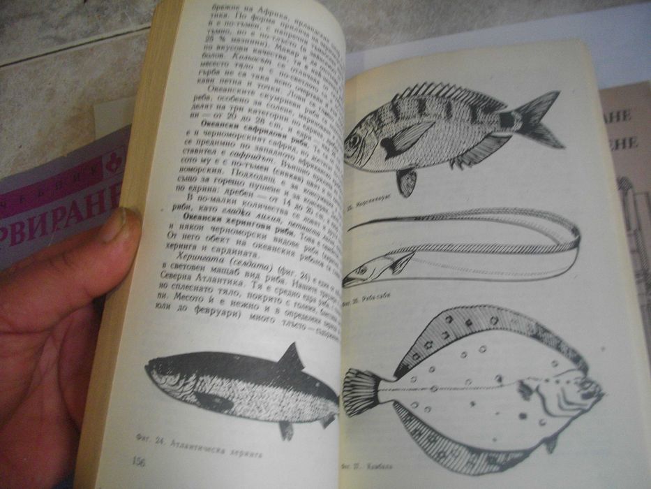 Учебници За ТОХ-Сервиране/Материалознание/Технологично обзавеждане