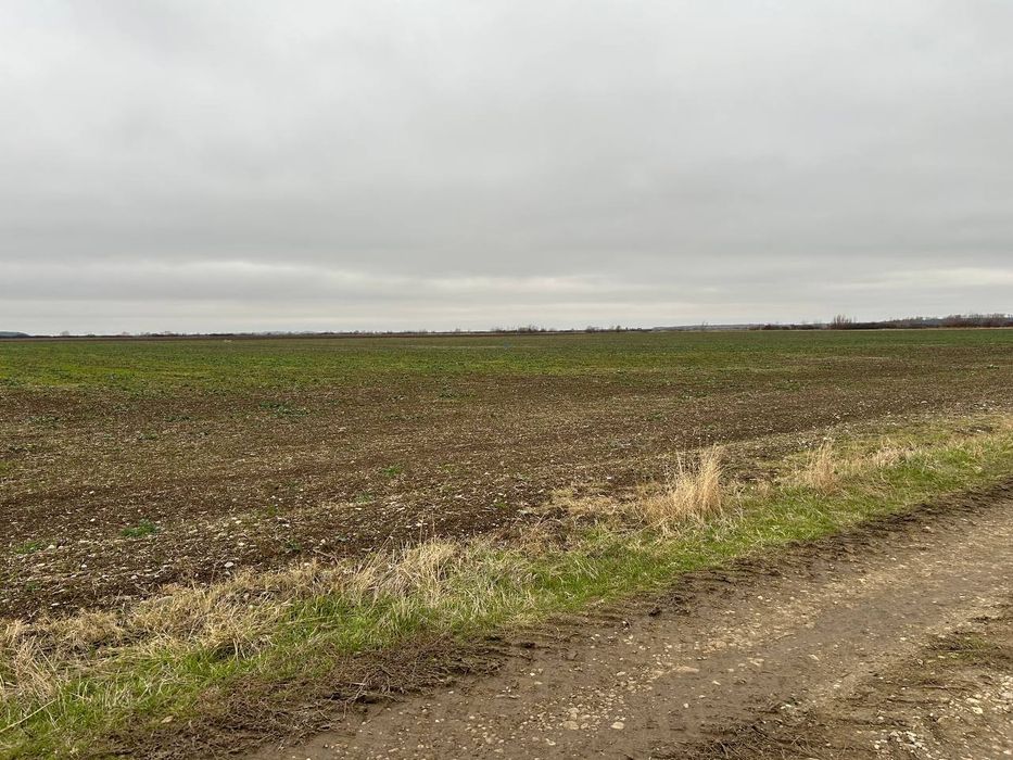 Proprietar! Teren 15500mp, deschidere 49,64m, Tartasesti