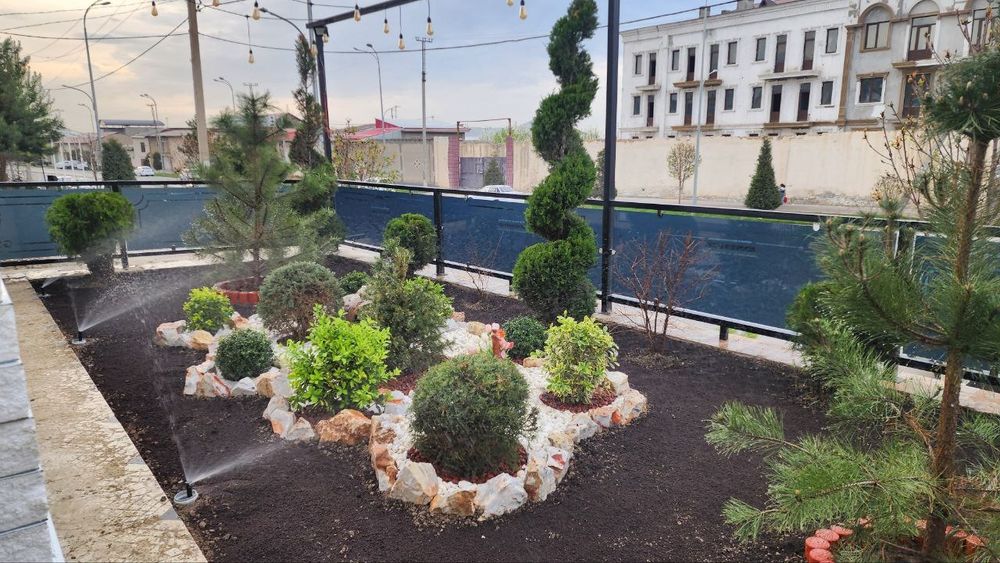 Gazon ekib berish ishlari lanshaftni dizayin assosida