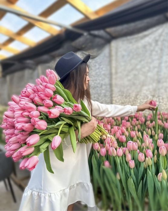 Белорусский тюльпан оптом