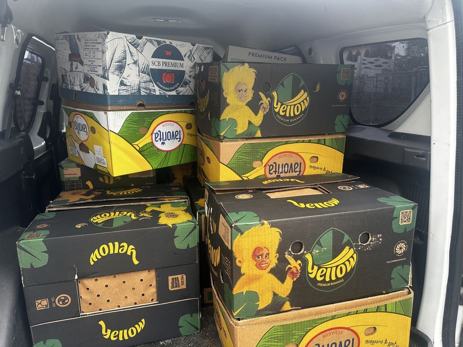 Baxuri cutii de banane noi toate