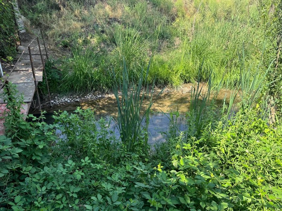 Dacha sotiladi 6 sotix 2 sotix zaxvati bor