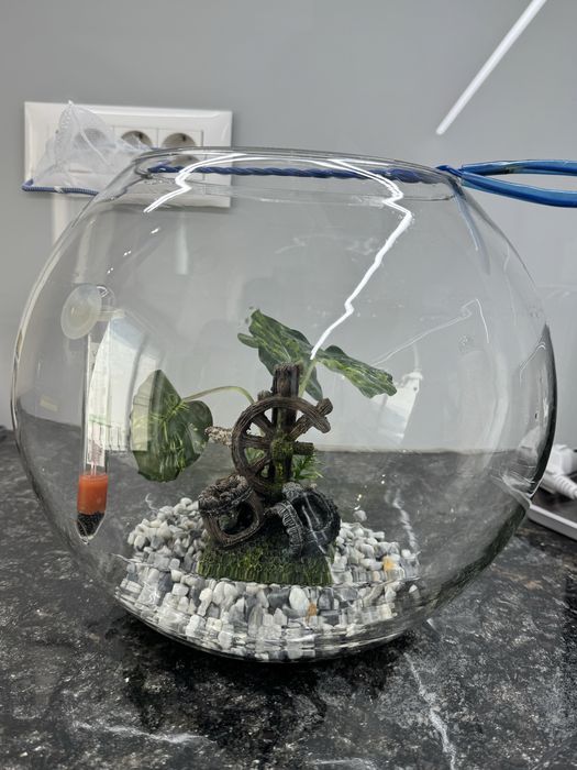 Acvariu decorativ pentru pesti