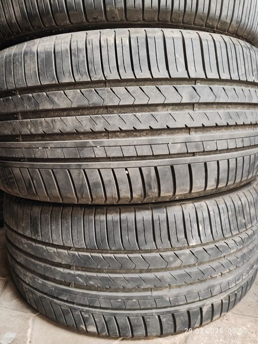 R22 diska balon ideal