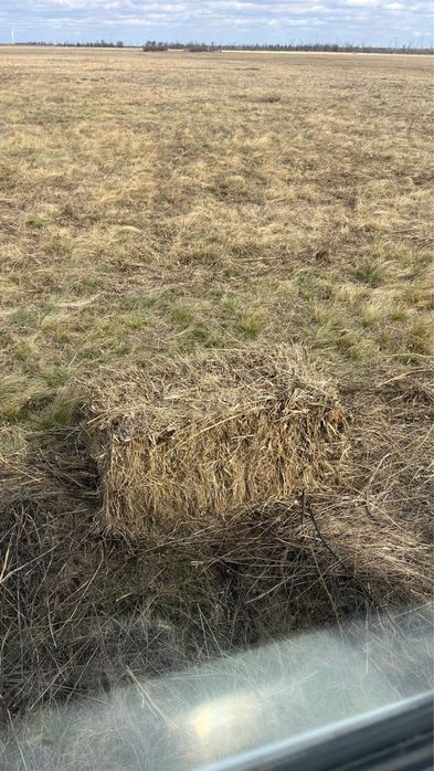 Тюк шөп сатылады .САПАЛЫ,ҚҰРҒАҚ,ТАБИҒИ