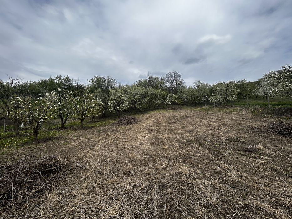 Teren intravilan 3600 mp – Str. Lovinescu, Rădășeni, toate utilitățile