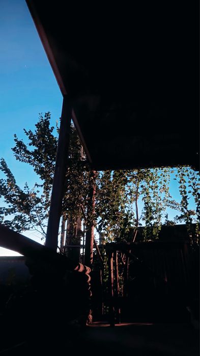 Коттедж посуточно