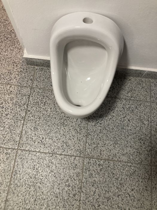 Pișoar cersanit president