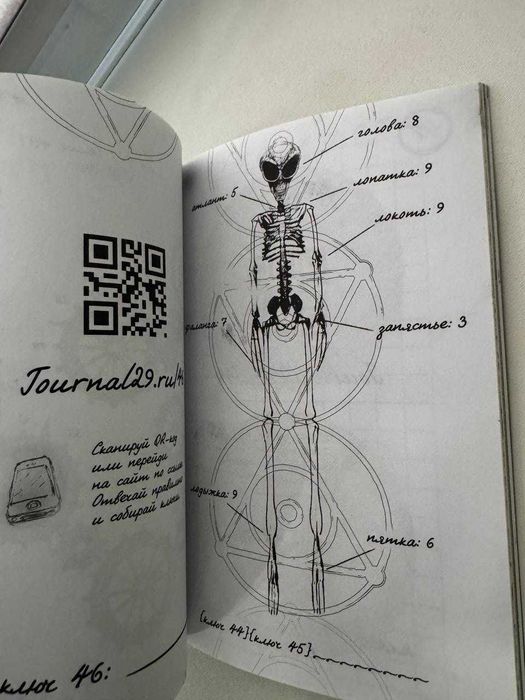 Димитрис Чассапакис — «Дневник 29»