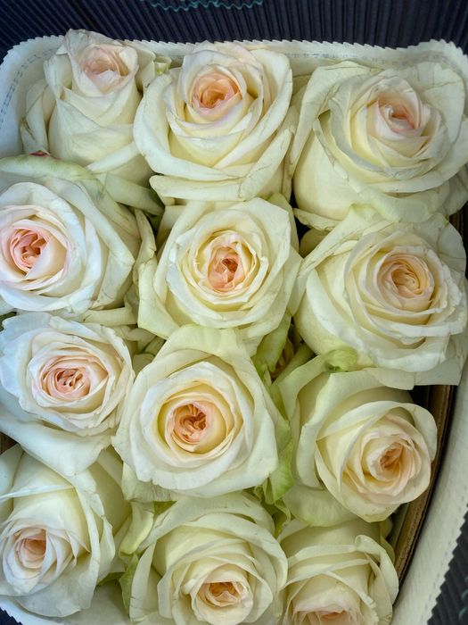 Пионовидные розы, пионы, розы