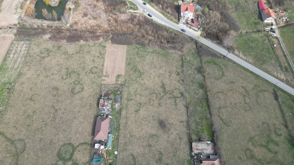 teren intravilan Alparea