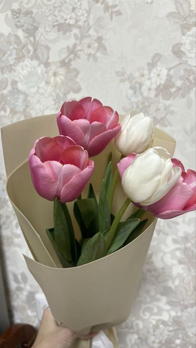 Продам тюльпаны и мерси
