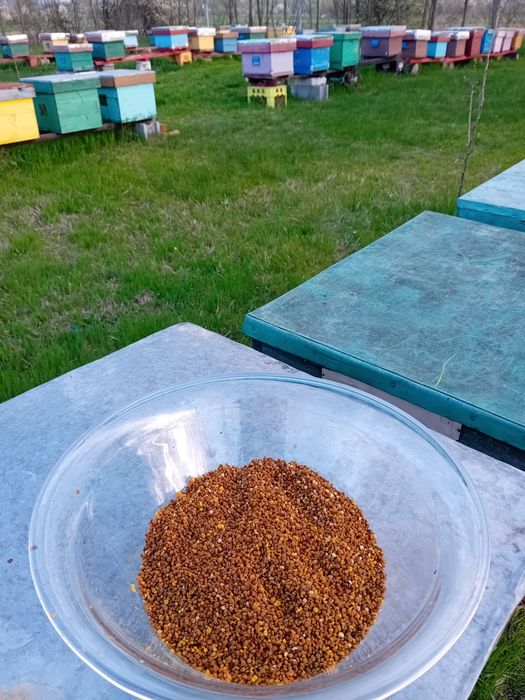 Miere polifloră si rapiță direct de la producător