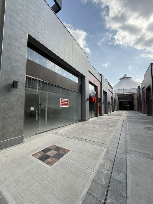 Alfraganus торговый центр