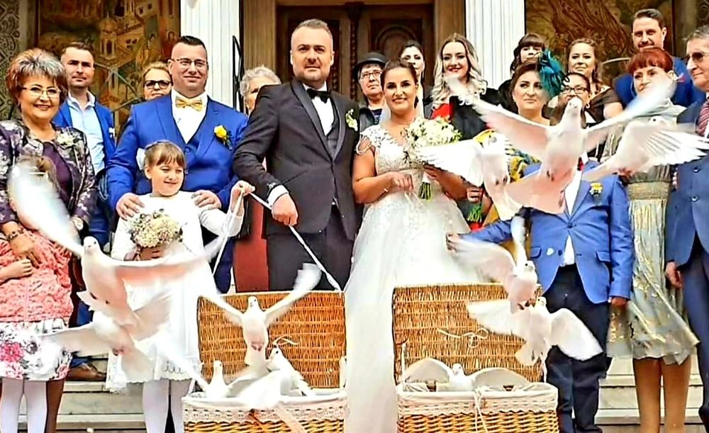 Porumbei albi Evenimente Constanta