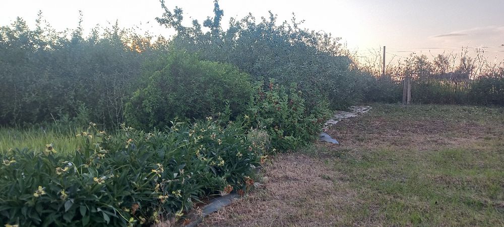 Продам дачу в районе автоцона