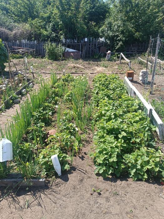 Продам дачу сад Здоровье